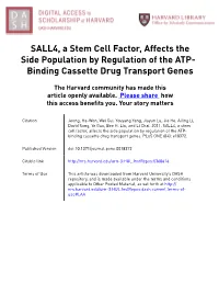 SALL4, a Stem Cell Factor, Affects the Side Population by Regulation of the ATP- Binding Cassette Drug Transport Genes