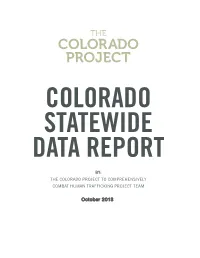 Statewide Data Report (PDF)