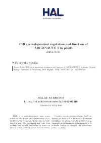 Cell Cycle-Dependent Regulation and Function of ARGONAUTE 1 in Plants Adrien Trolet