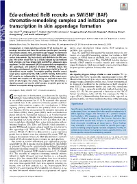 Eda-Activated Relb Recruits an SWI/SNF (BAF) Chromatin-Remodeling Complex and Initiates Gene Transcription in Skin Appendage Formation