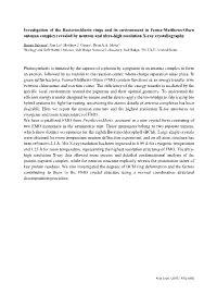 Investigation of the Bacteriochlorin Rings and Its Environment in Fenna