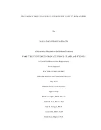 Mechanistic Investigation of a Hemostatic Keratin Biomaterial