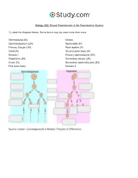 Sexual Reproduction & the Reproductive System Visual