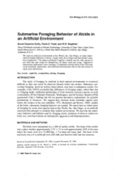 Submarine Foraging Behavior of Alcids in an Artificial Environment