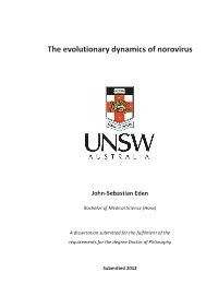 The Evolutionary Dynamics of Norovirus