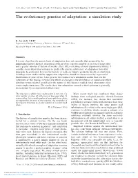 The Evolutionary Genetics of Adaptation: a Simulation Study