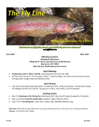 The Fly Line