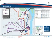 Bus Service From