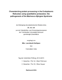 Dissertation Kollipara.Pdf