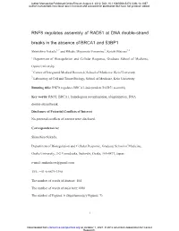 RNF8 Regulates Assembly of RAD51 at DNA Double-Strand Breaks in the Absence of BRCA1 and 53BP1