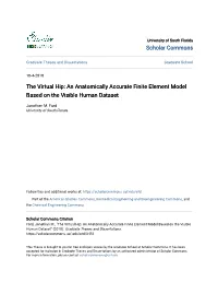 The Virtual Hip: an Anatomically Accurate Finite Element Model Based on the Visible Human Dataset