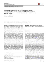 Genetic Evaluation of the Self-Sustaining Status of a Population of the Endangered Danube Salmon, Hucho Hucho