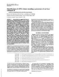 Identification of Cdna Clones Encoding a Precursor of Rat Liver