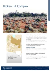 Broken Hill Complex