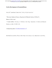 On the Development of Sesamoid Bones