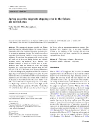 Spring Passerine Migrants Stopping Over in the Sahara Are Not Fall-Outs