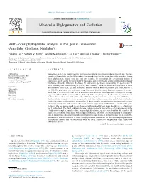 Annelida: Clitellata: Naididae) ⇑ Yingkui Liu A, Steven V