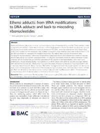 From Trna Modifications to DNA Adducts and Back to Miscoding Ribonucleotides F