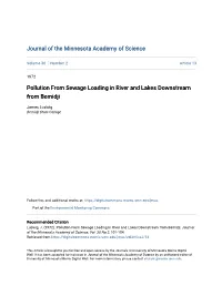 Pollution from Sewage Loading in River and Lakes Downstream from Bemidji