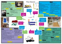 Common Themes Key Issues