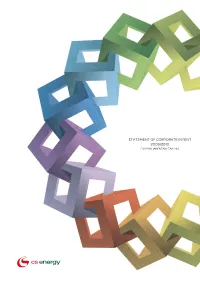 CS Energy SCI Report 0910