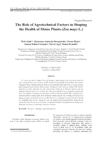 The Role of Agrotechnical Factors in Shaping the Health of Maize Plants (Zea Mays L.)