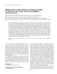 Hibernation Is Recorded in Lower Incisors of Recent and Fossil Ground Squirrels (Spermophilus)