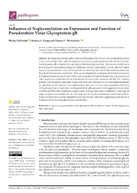 Influence of N-Glycosylation on Expression and Function Of
