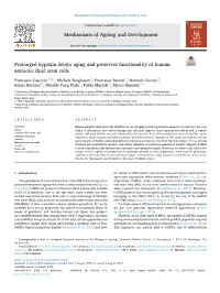 Prolonged Hypoxia Delays Aging and Preserves Functionality of Human Amniotic Fluid Stem Cells