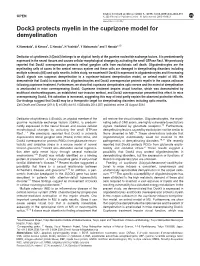 Dock3 Protects Myelin in the Cuprizone Model for Demyelination