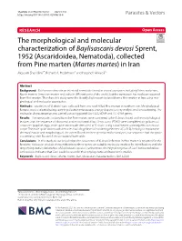 The Morphological and Molecular Characterization of Baylisascaris