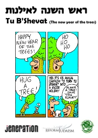 Tu B'shevat (The New Year of the Trees)
