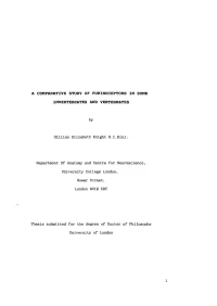 A Comparative Study of Purinoceptors in Some Invertebrates and Vertebrates