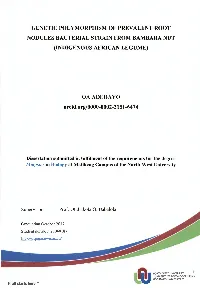 Adedayo OA.Pdf (3.909Mb)