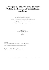 Development of Novel Tools to Study PARP10-Mediated ADP-Ribosylation Reactions