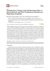 Identification of Fungi in the Debitterizing Water of Apricot