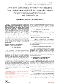 Swot up of Antimicrobial Protein Produced Bacteria from Ruminant Mammal Milk and Its Ramification on Pseudomonas Sp, Staphylococcus Sp