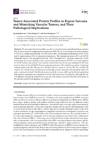 Tumor-Associated Protein Profiles in Kaposi Sarcoma and Mimicking