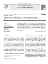 Recombination-Based Generation of the Agroinfectious Clones of Peanut