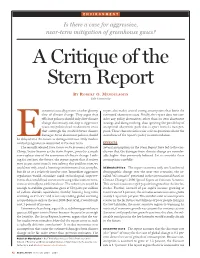 A Critique of the Stern Report
