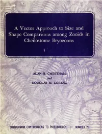 A Vector Approach to Size and Shape Comparisons Among Zooids in Cheilostome Bryozoans