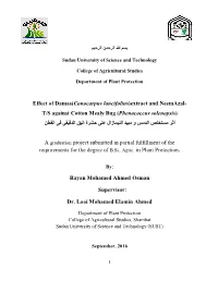 Effect of Damas(Conocarpus Lancifolius)Extract and Neemazal