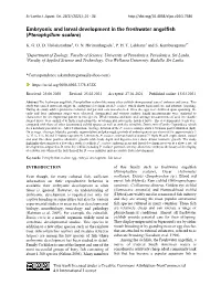 Embryonic and Larval Development in the Freshwater Angelfish (Pterophyllum Scalare)