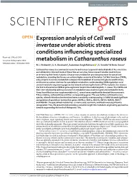Expression Analysis of Cell Wall Invertase Under Abiotic Stress