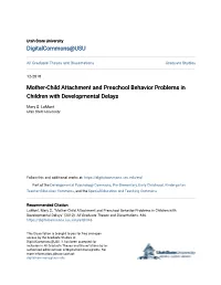 Mother-Child Attachment and Preschool Behavior Problems in Children with Developmental Delays