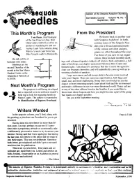 Needles-V049-01-1998