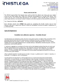 Candida Krusei