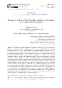 Evolution of the Hectocotylus in Sepiolinae (Cephalopoda: Sepiolidae) and Description of Four New Genera