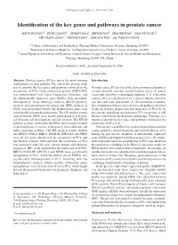 Identification of the Key Genes and Pathways in Prostate Cancer