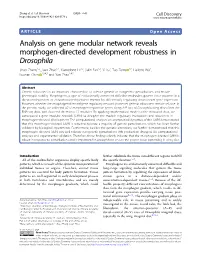 Analysis on Gene Modular Network Reveals Morphogen-Directed Development Robustness in Drosophila